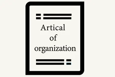 New Business Formation